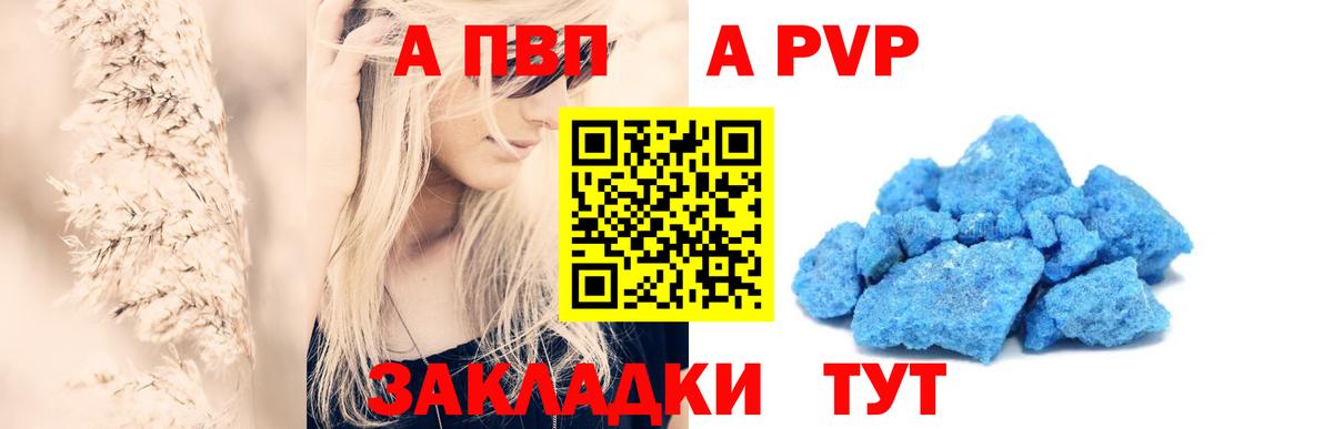 APVP СК Владимир