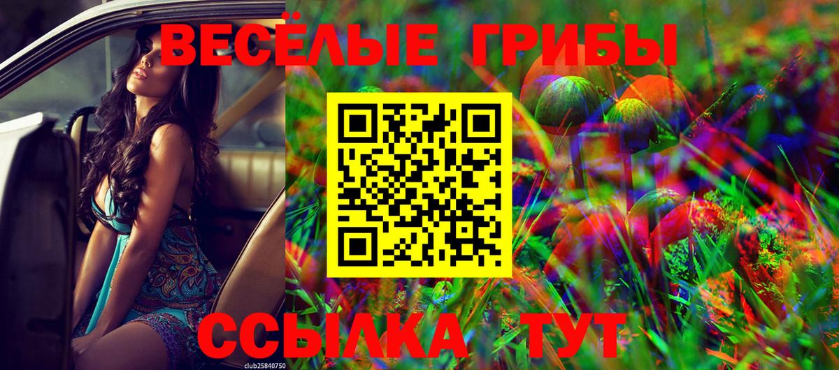 Галлюциногенные грибы Magic Shrooms  Псилоцибиновые грибы мухоморы  Вход с VPN  Владимир 