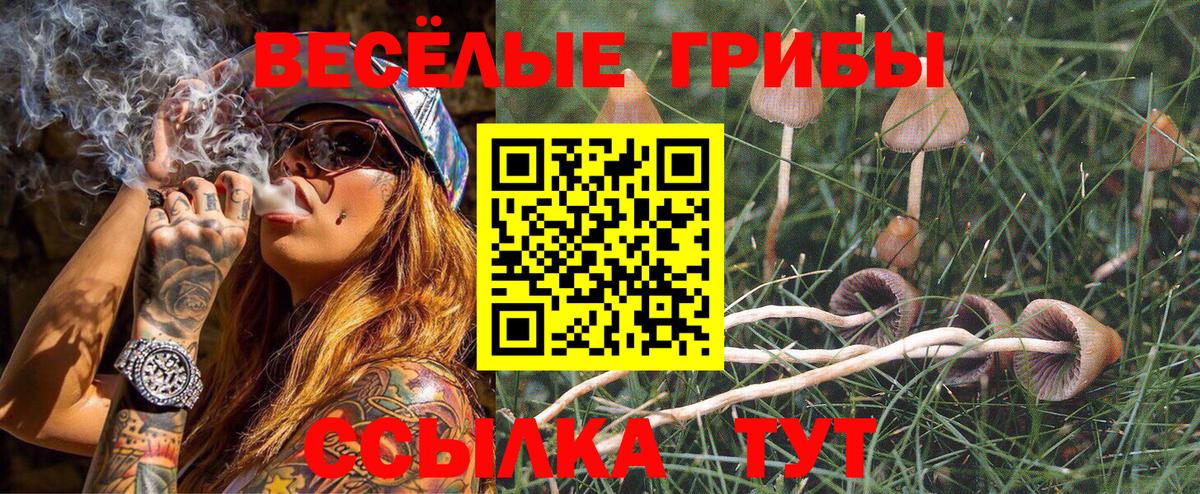 Псилоцибиновые грибы MAGIC MUSHROOMS Владимир